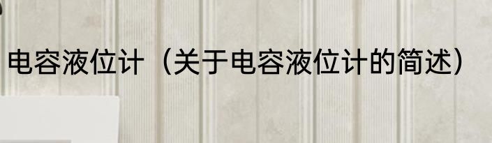 电容液位计（关于电容液位计的简述）