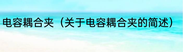 电容耦合夹（关于电容耦合夹的简述）