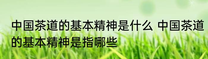 中国茶道的基本精神是什么 中国茶道的基本精神是指哪些