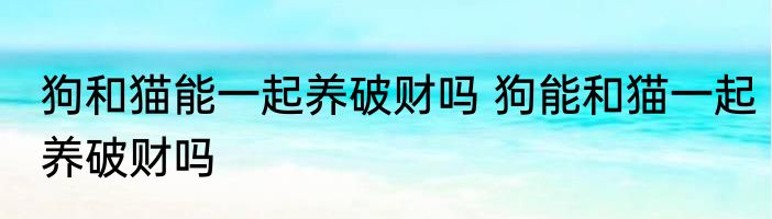 狗和猫能一起养破财吗 狗能和猫一起养破财吗