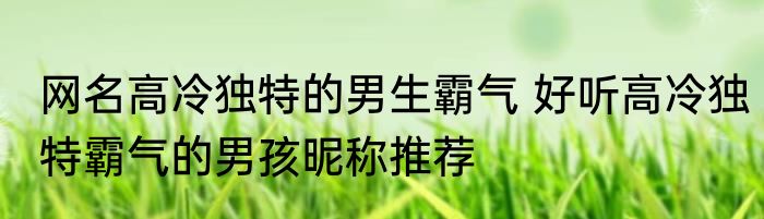 网名高冷独特的男生霸气 好听高冷独特霸气的男孩昵称推荐