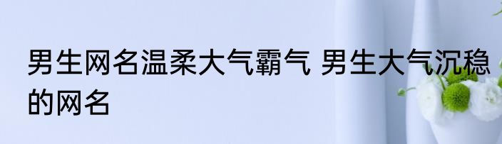 男生网名温柔大气霸气 男生大气沉稳的网名