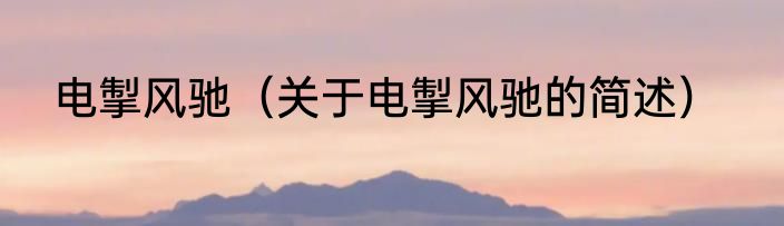 电掣风驰（关于电掣风驰的简述）