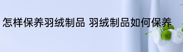 怎样保养羽绒制品 羽绒制品如何保养