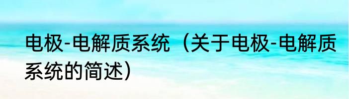 电极-电解质系统（关于电极-电解质系统的简述）