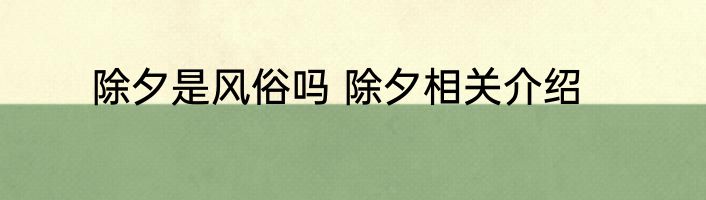 除夕是风俗吗 除夕相关介绍