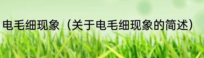 电毛细现象（关于电毛细现象的简述）