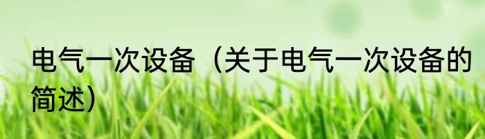 电气一次设备（关于电气一次设备的简述）