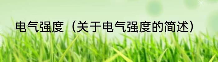 电气强度（关于电气强度的简述）