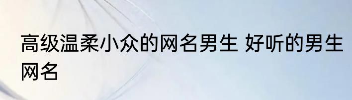高级温柔小众的网名男生 好听的男生网名