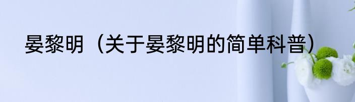 晏黎明（关于晏黎明的简单科普）