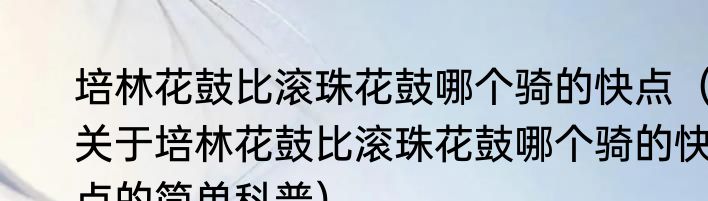 培林花鼓比滚珠花鼓哪个骑的快点（关于培林花鼓比滚珠花鼓哪个骑的快点的简单科普）