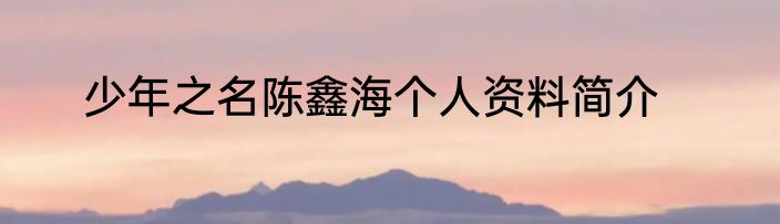 少年之名陈鑫海个人资料简介