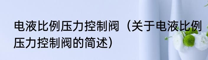 电液比例压力控制阀（关于电液比例压力控制阀的简述）