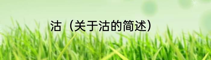 沽（关于沽的简述）