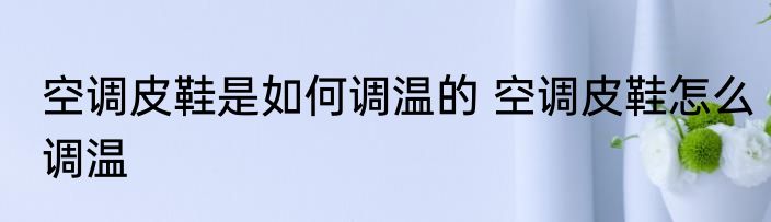 空调皮鞋是如何调温的 空调皮鞋怎么调温