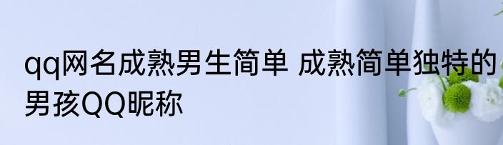 qq网名成熟男生简单 成熟简单独特的男孩QQ昵称