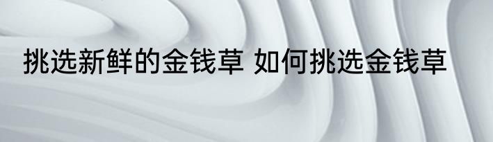 挑选新鲜的金钱草 如何挑选金钱草