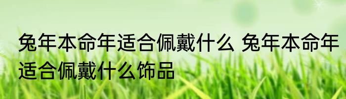 兔年本命年适合佩戴什么 兔年本命年适合佩戴什么饰品