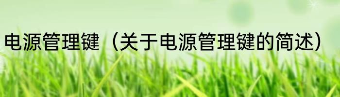 电源管理键（关于电源管理键的简述）
