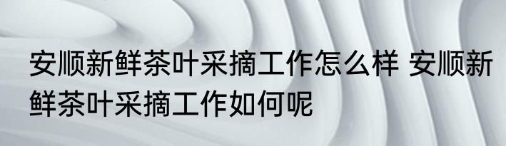安顺新鲜茶叶采摘工作怎么样 安顺新鲜茶叶采摘工作如何呢