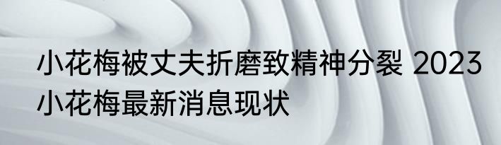 小花梅被丈夫折磨致精神分裂 2023小花梅最新消息现状