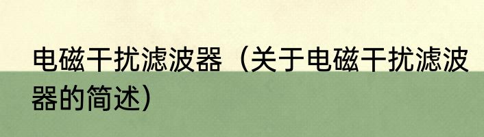 电磁干扰滤波器（关于电磁干扰滤波器的简述）