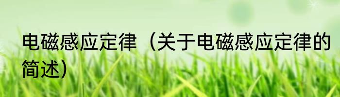 电磁感应定律（关于电磁感应定律的简述）