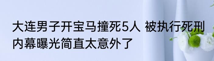 大连男子开宝马撞死5人 被执行死刑 内幕曝光简直太意外了