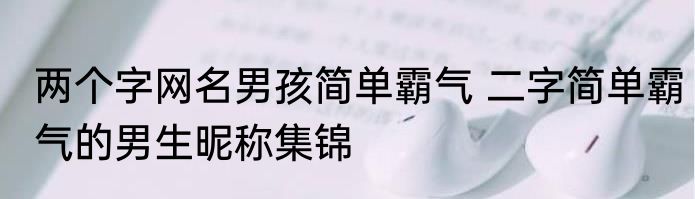 两个字网名男孩简单霸气 二字简单霸气的男生昵称集锦