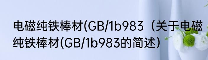 电磁纯铁棒材(GB/1b983（关于电磁纯铁棒材(GB/1b983的简述）