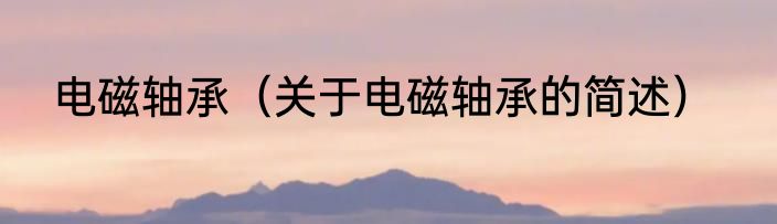 电磁轴承（关于电磁轴承的简述）