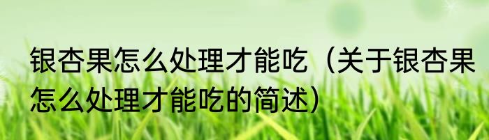 银杏果怎么处理才能吃（关于银杏果怎么处理才能吃的简述）