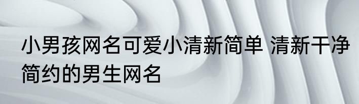 小男孩网名可爱小清新简单 清新干净简约的男生网名