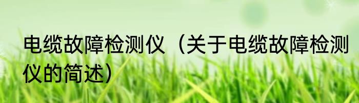 电缆故障检测仪（关于电缆故障检测仪的简述）