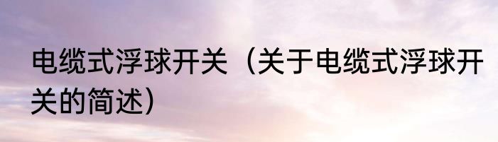 电缆式浮球开关（关于电缆式浮球开关的简述）