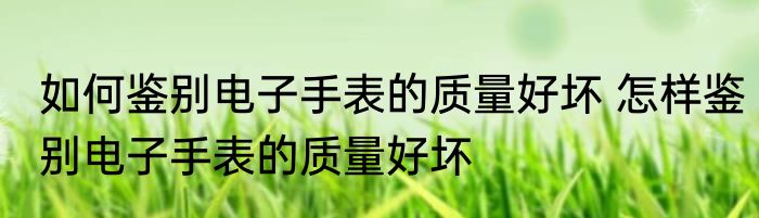 如何鉴别电子手表的质量好坏 怎样鉴别电子手表的质量好坏