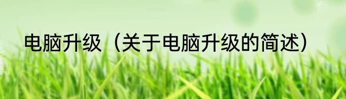 电脑升级（关于电脑升级的简述）