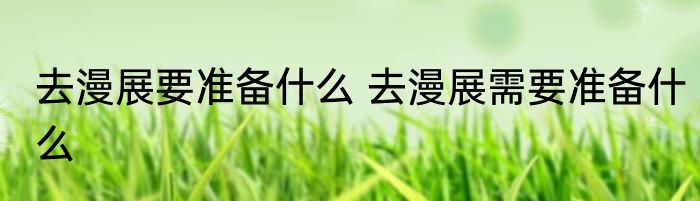 去漫展要准备什么 去漫展需要准备什么