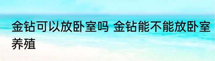 金钻可以放卧室吗 金钻能不能放卧室养殖
