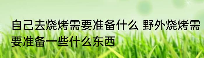 自己去烧烤需要准备什么 野外烧烤需要准备一些什么东西