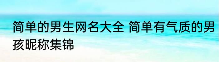 简单的男生网名大全 简单有气质的男孩昵称集锦