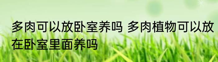 多肉可以放卧室养吗 多肉植物可以放在卧室里面养吗
