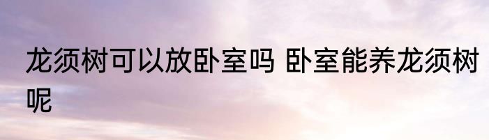 龙须树可以放卧室吗 卧室能养龙须树呢
