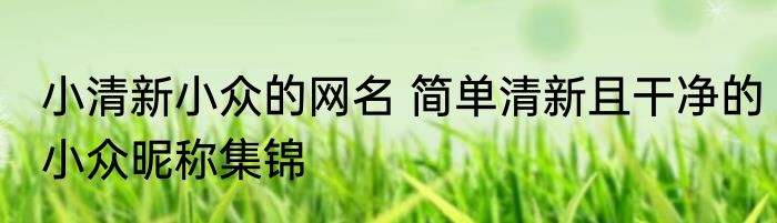 小清新小众的网名 简单清新且干净的小众昵称集锦