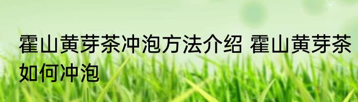 霍山黄芽茶冲泡方法介绍 霍山黄芽茶如何冲泡
