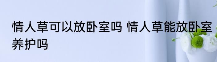 情人草可以放卧室吗 情人草能放卧室养护吗