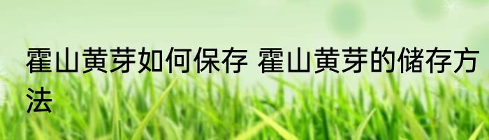 霍山黄芽如何保存 霍山黄芽的储存方法