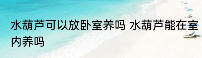 水葫芦可以放卧室养吗 水葫芦能在室内养吗