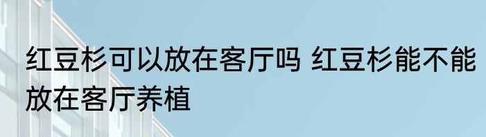 红豆杉可以放在客厅吗 红豆杉能不能放在客厅养植